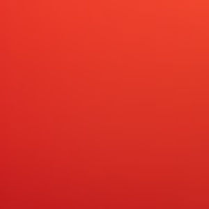 Meet your Posher, Sandy